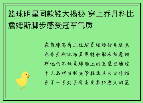 篮球明星同款鞋大揭秘 穿上乔丹科比詹姆斯脚步感受冠军气质